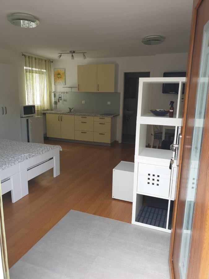 Studio Emma Ljubljana - Free Parking, Ac, Wifi エクステリア 写真