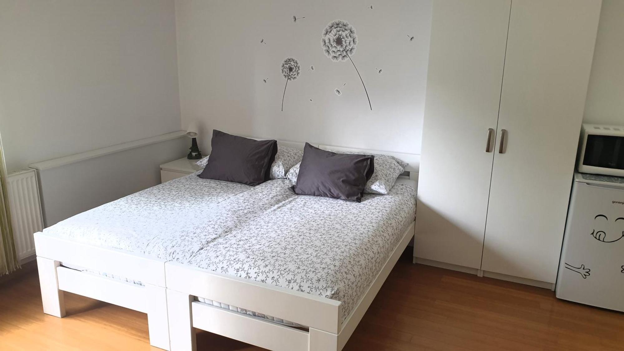 Studio Emma Ljubljana - Free Parking, Ac, Wifi エクステリア 写真