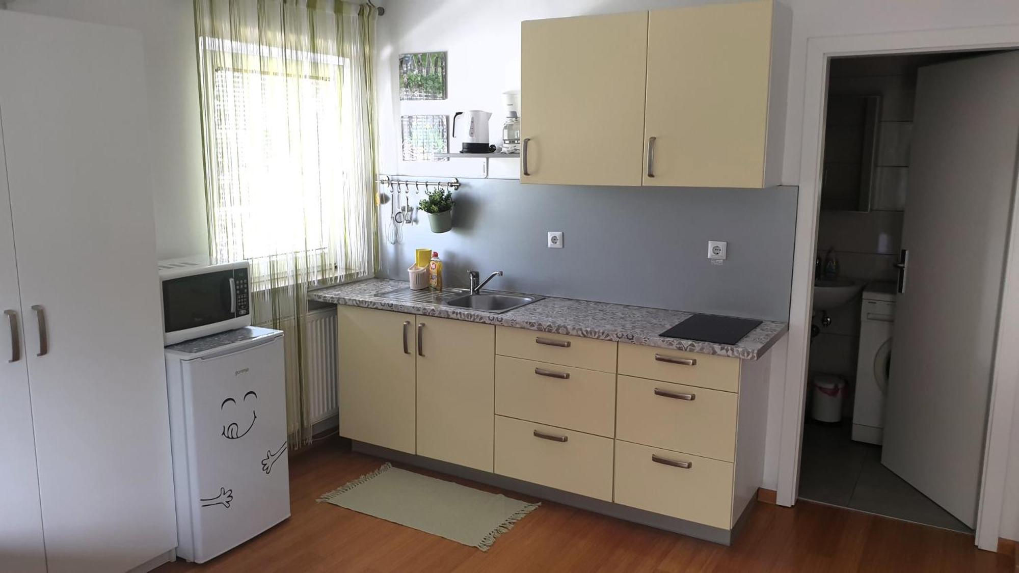 Studio Emma Ljubljana - Free Parking, Ac, Wifi エクステリア 写真