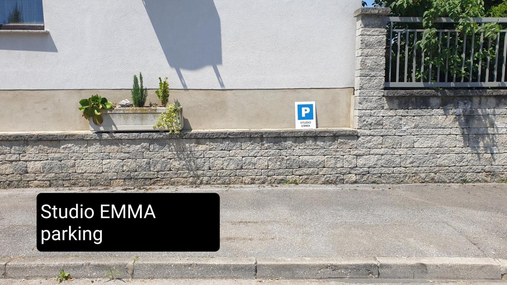Studio Emma Ljubljana - Free Parking, Ac, Wifi エクステリア 写真