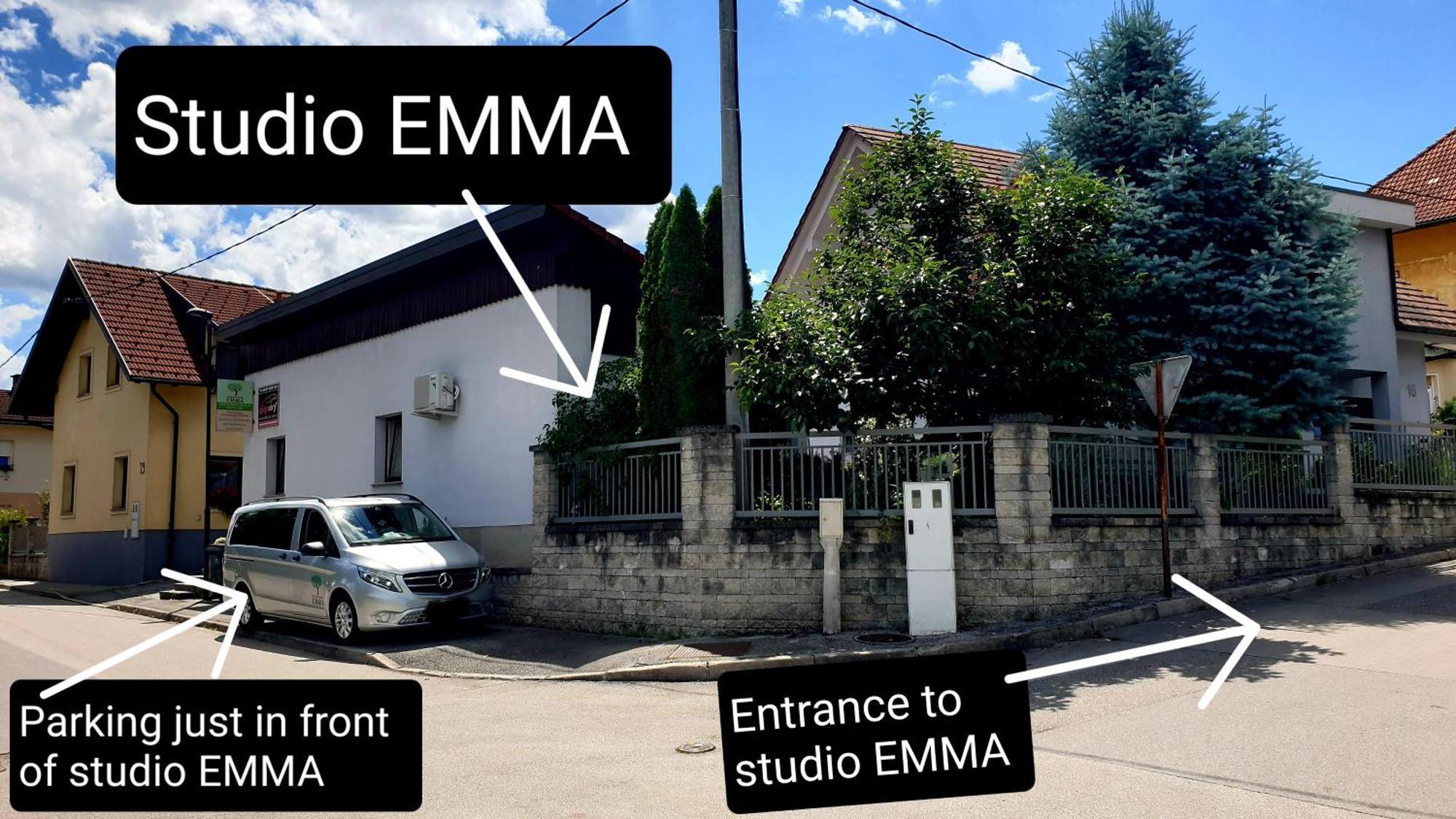 Studio Emma Ljubljana - Free Parking, Ac, Wifi エクステリア 写真